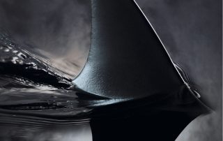 schwarze Haiflosse im Wasser
