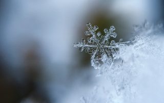 Frost − gefrorene Schneeflocke
