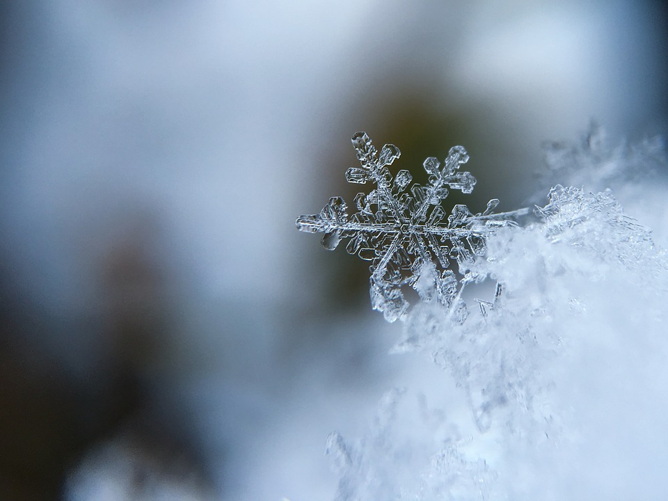 Frost − gefrorene Schneeflocke