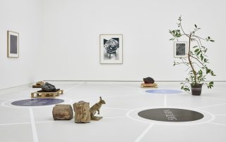 Joachim Koester: „The way out ist the way in“ – Ein Einblick